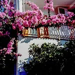 Appartement In Okrug Gornji 6130